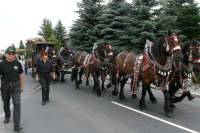img_8486_bierzug-eibau-2013