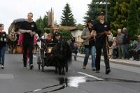 img_8498_bierzug-eibau-2013