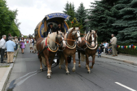 img_8505_bierzug-eibau-2013