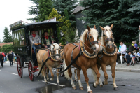 img_8515_bierzug-eibau-2013