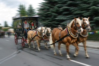 img_8517-large