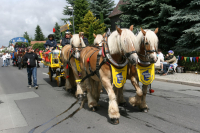 img_8533_bierzug-eibau-2013