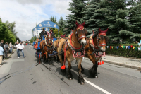 img_8539_bierzug-eibau-2013