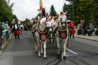 img_8542_bierzug-eibau-2013