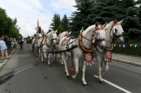 img_8544_bierzug-eibau-2013