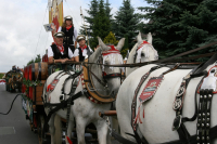img_8546_bierzug-eibau-2013