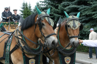 img_8552_bierzug-eibau-2013