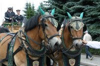 img_8553_bierzug-eibau-2013