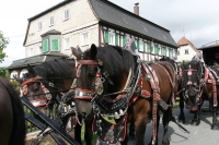 img_8198_bierzug-eibau-2013_0