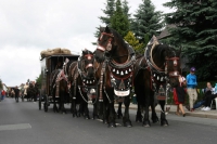 img_8472_bierzug-eibau-2013