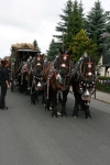 img_8480_bierzug-eibau-2013