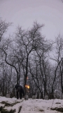 2013033180737