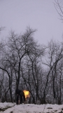 2013033180738