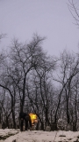 2013033180739