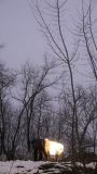 2013033180741