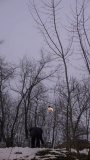 2013033180744