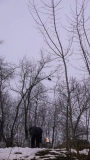 2013033180746
