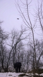 2013033180748