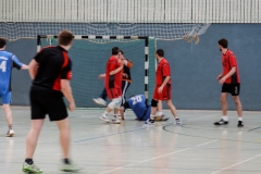 img_2475-handball-highlight-loebau