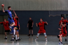 img_2482-handball-highlight-loebau