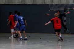 img_2486-handball-highlight-loebau