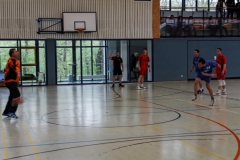 img_2493-handball-highlight-loebau