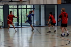 img_2502-handball-highlight-loebau