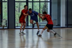 img_2505-handball-highlight-loebau