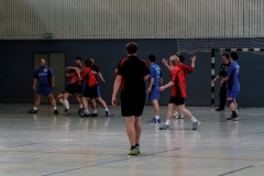 img_2514-handball-highlight-loebau