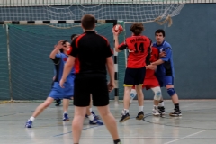 img_2520-handball-highlight-loebau