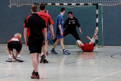 img_2548-handball-highlight-loebau