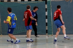 img_2580-handball-highlight-loebau