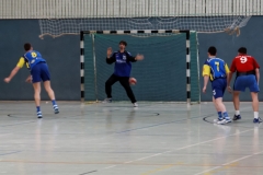 img_2590-handball-highlight-loebau