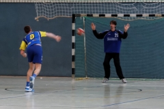 img_2596-handball-highlight-loebau