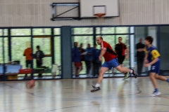 img_2621-handball-highlight-loebau