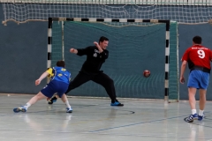 img_2623-handball-highlight-loebau