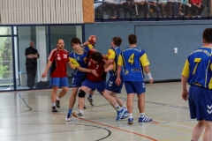 img_2633-handball-highlight-loebau