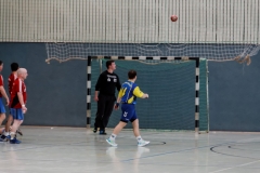 img_2642-handball-highlight-loebau