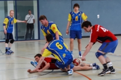 img_2643-handball-highlight-loebau