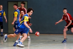 img_2645-handball-highlight-loebau