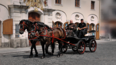 p1270210-loeber-bierwagenziehen-2013_02