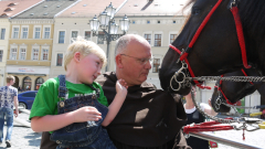 p1270231-loeber-bierwagenziehen-2013_02