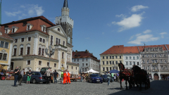 p1270258-loeber-bierwagenziehen-2013_02