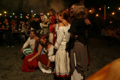 img_1463mittelalterliche_hofepark_zu_schoenbach