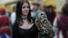 p1240964-xv-spectaculum-citaviae-large